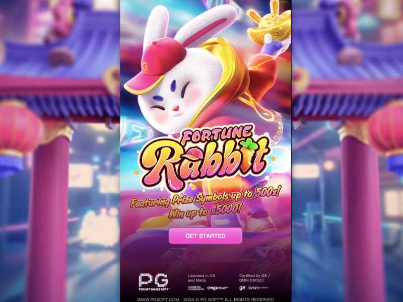 Заключение по fortune rabbit